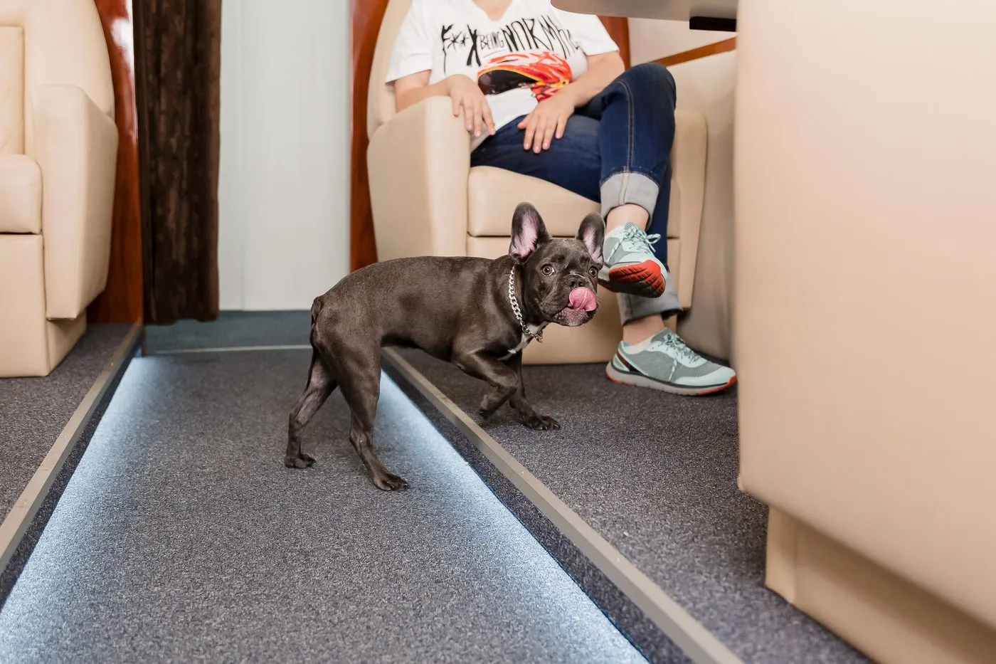 A dog waiting beside luggage at the airport
