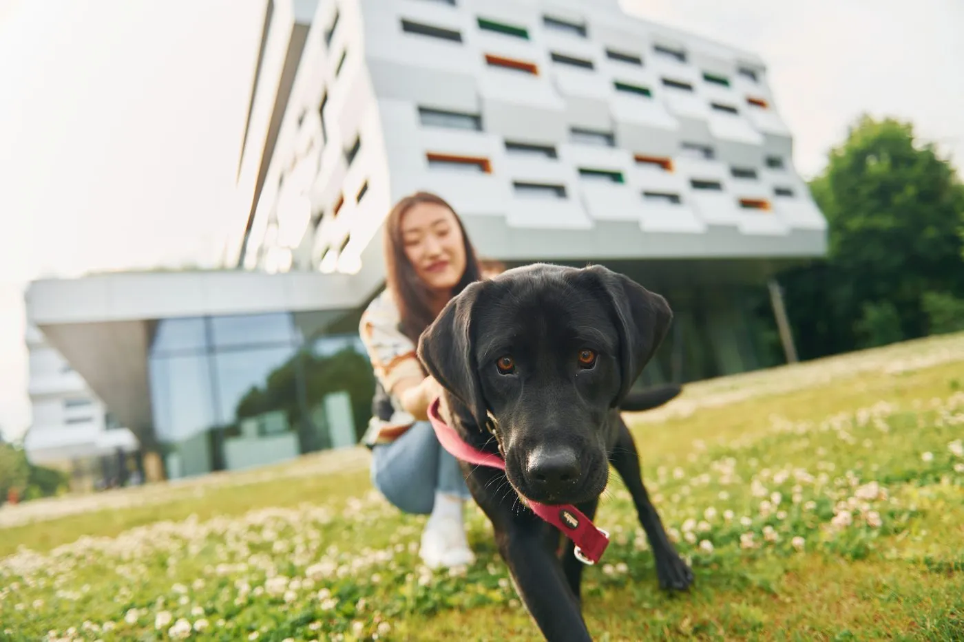 A student sitting outdoors with their dog on campus
