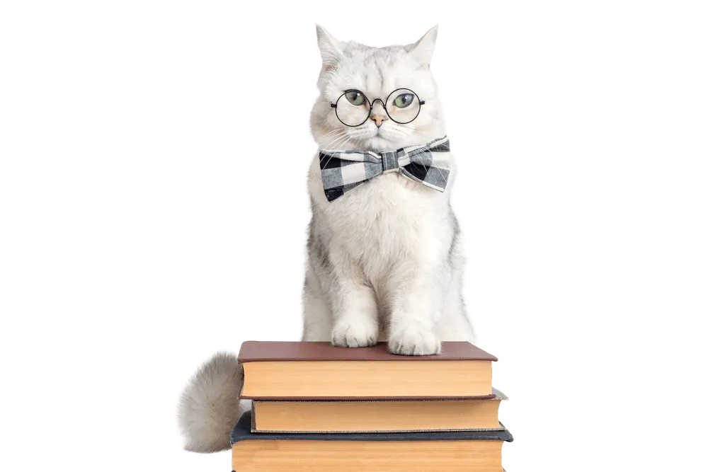 A white cat wearing glasses and a bow tie sitting on a stack of books