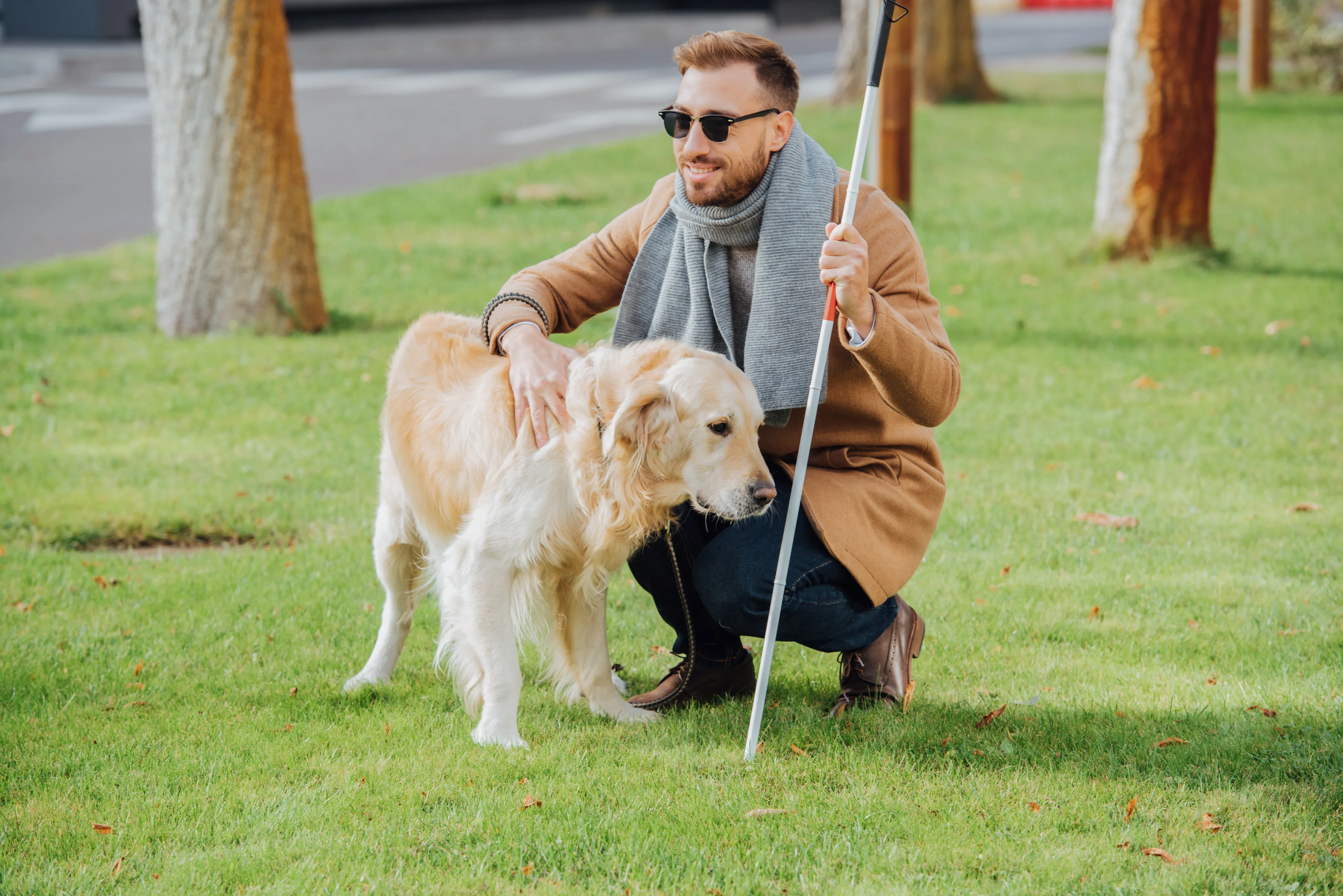 A service dog assisting its handler